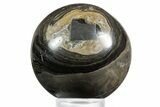 Polished Stromatolite (Greysonia) Sphere - Bolivia #355389-1